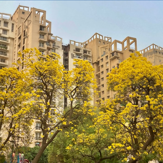 Unitech Escape with Yellow Flowers
