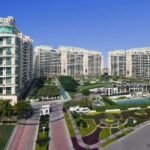 Luxury Apartment for Rent in DLF The Magnolias