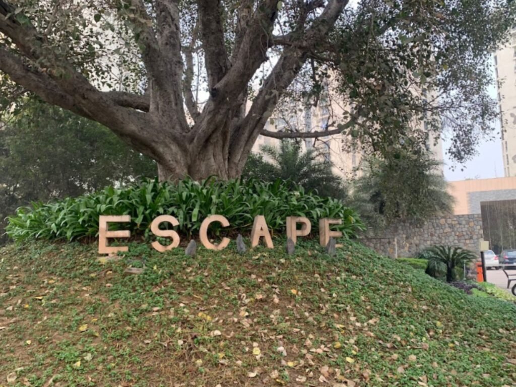 Apartments for rent in Sector 50 Nirvana Unitech Escape