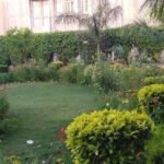 DLF Phase 5 Apartments