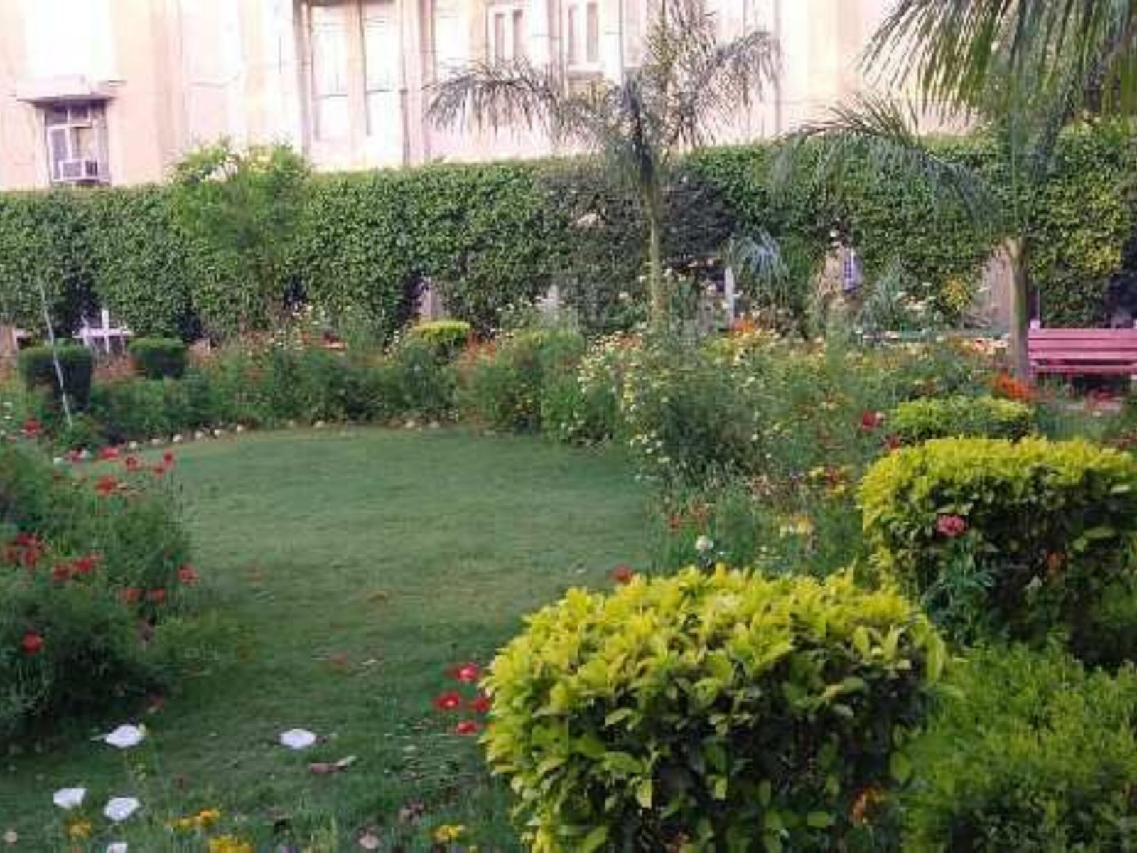 DLF Phase 5 Apartments