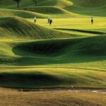 Apartment for Rent in M3M Latitude