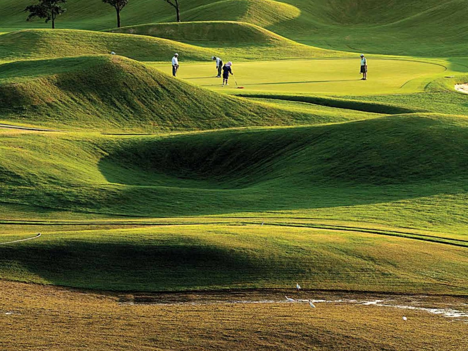 Apartment for Rent in M3M Latitude