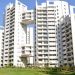 parsvnath exotica sector 53